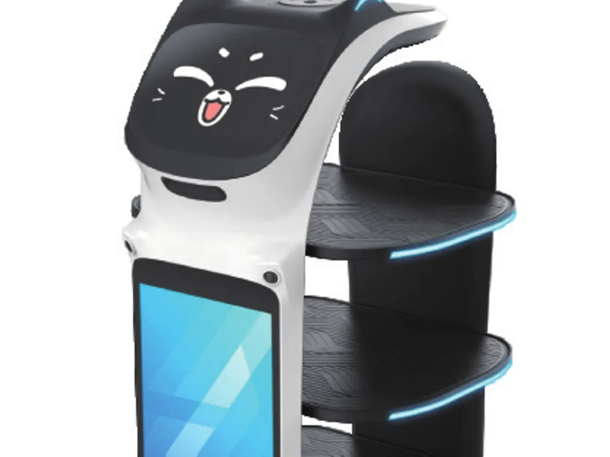 AI voice interaction